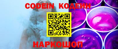 apvp Кингисепп