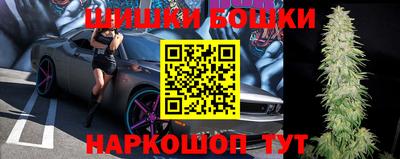 apvp Кингисепп