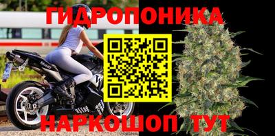 apvp Кингисепп