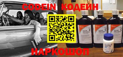 apvp Кингисепп