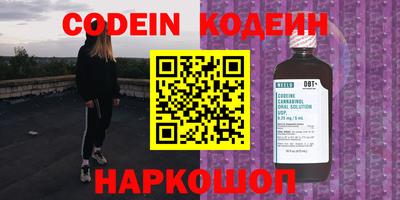 apvp Кингисепп
