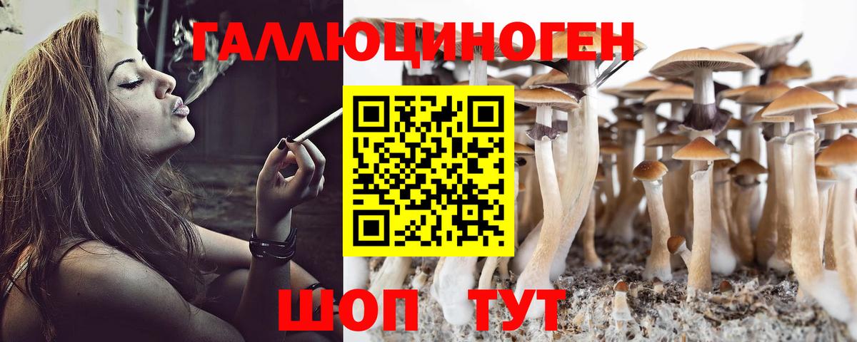 сколько стоит  Галлюциногенные грибы прущие грибы  Вход с VPN  Солнечногорск 