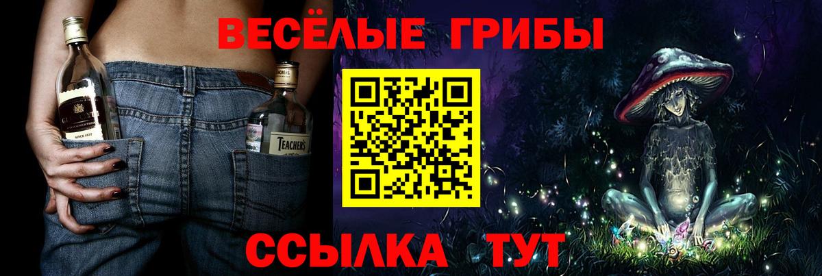 Псилоцибиновые грибы Psilocybe Солнечногорск