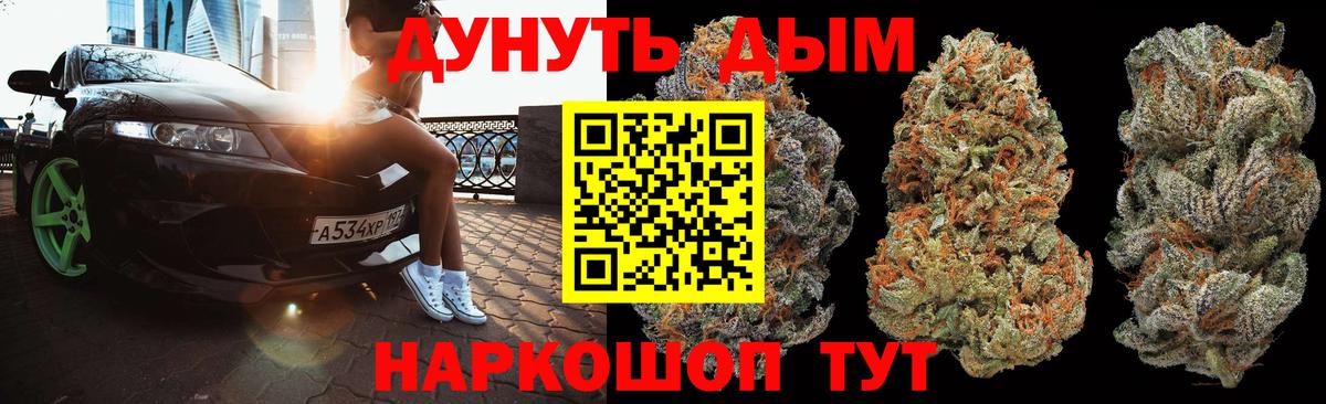 Бошки Шишки сатива Солнечногорск